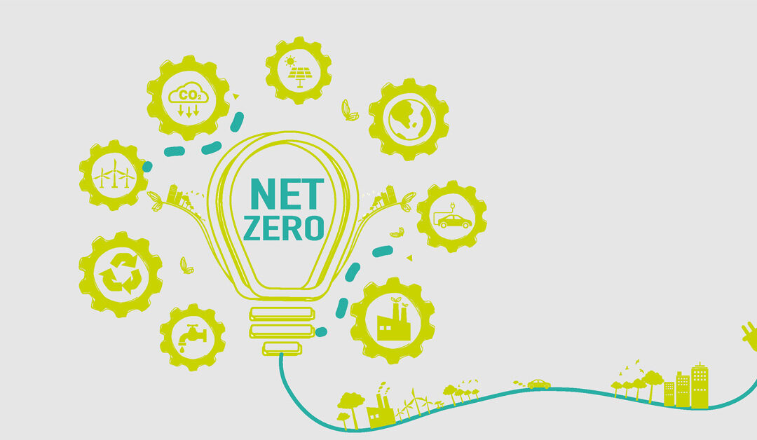 Reflections from LGC’s Net Zero conference