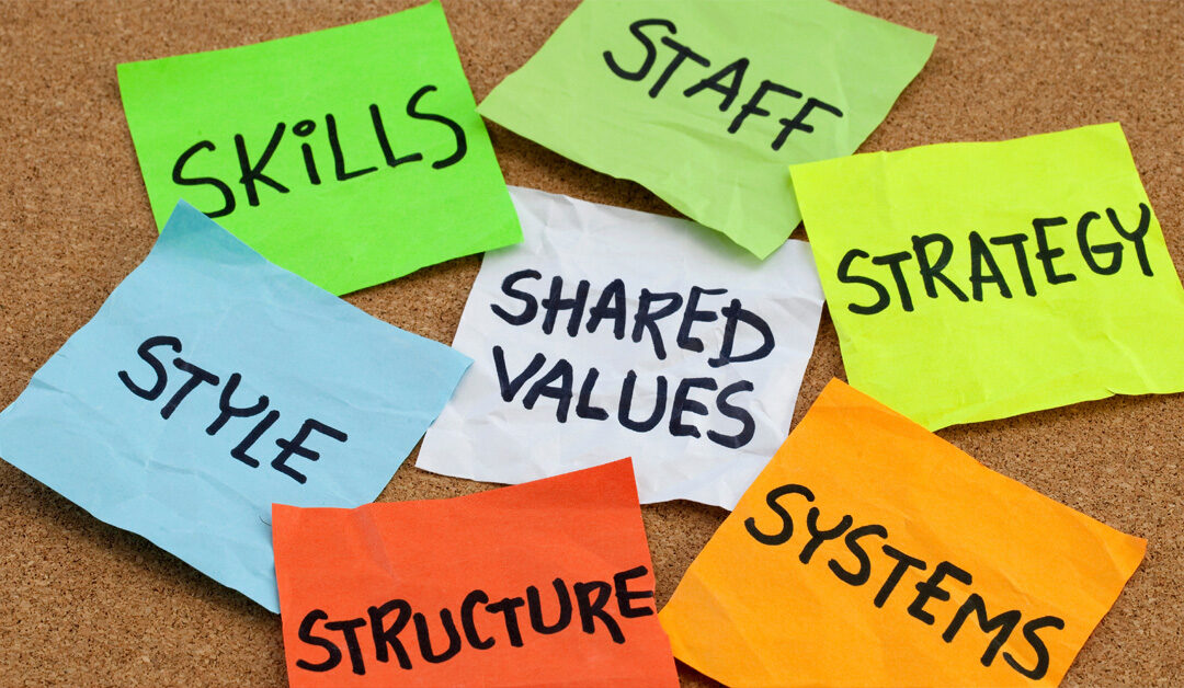 Understanding culture is the first step towards behaviour change