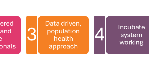 Five steps every capital programme can take to embed transformational ...