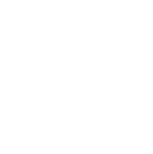 Icon representing system working
