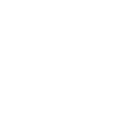 Icon representing confidence