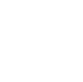 Icon of a house, representing place-based or community-focused work.