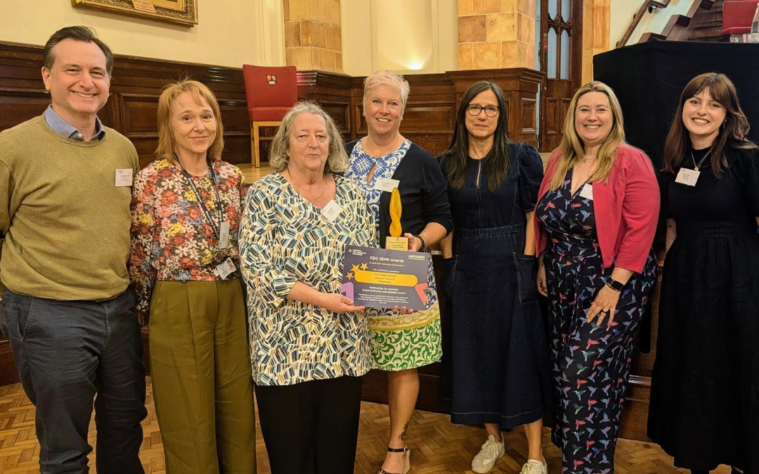 Turning ambition into delivery – Dorset’s SEND award winning journey