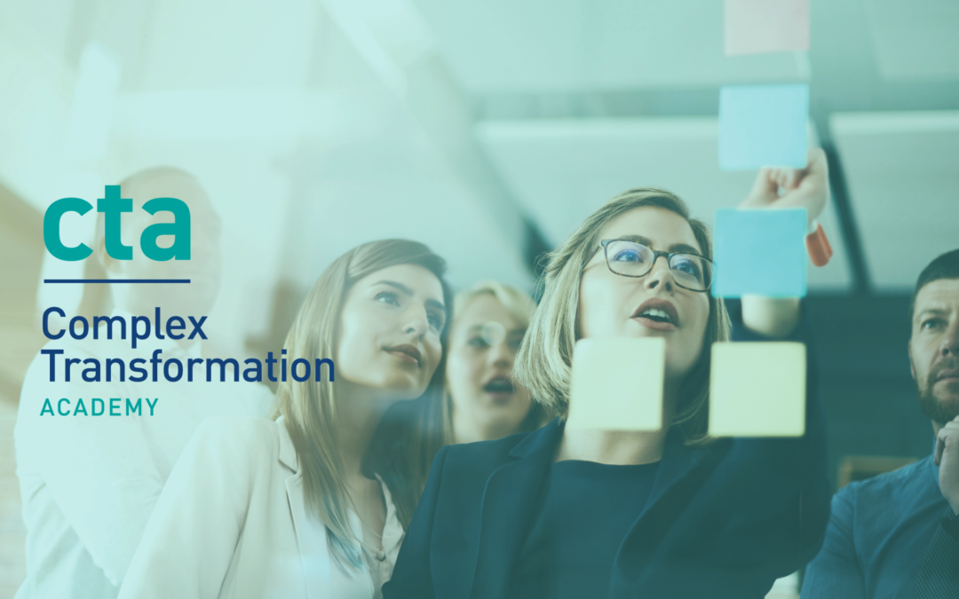 Leading through complexity: a new challenge for local government leaders